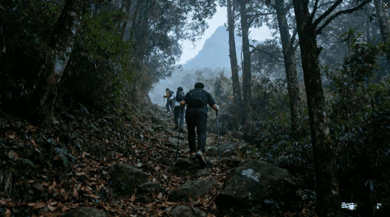 VPN是加速器：畅享极速网络体验的秘密